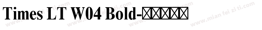Times LT W04 Bold字体转换
